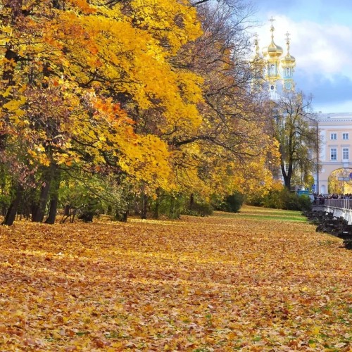 Из Петербурга в Пушкин — в Екатерининский и Александровский дворцы