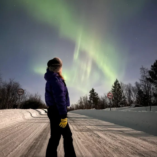 Тур-приключение в Арктике: Териберка и Кировск, кулинарный мастер-класс и северное сияние