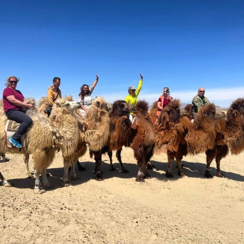 От пустыни до оазисов: большое путешествие по Монголии и Улан-Удэ