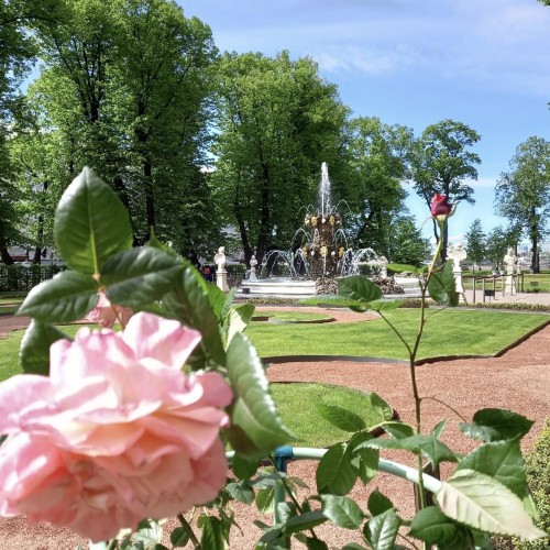 Из Петербурга — в блистательный Петергоф