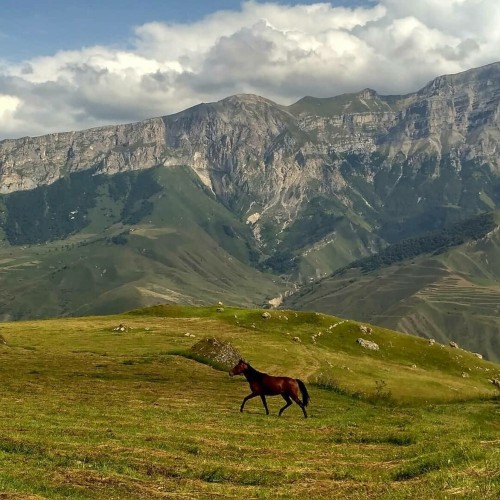 Манящий Эльбрус из Кисловодска