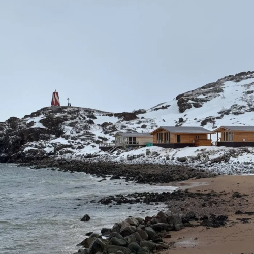 Тур-приключение в Арктике: Териберка и Кировск, кулинарный мастер-класс и северное сияние