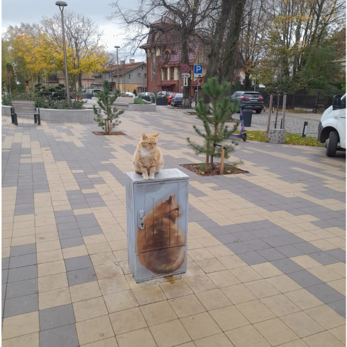 Куршская коса и Зеленоградск: песчаная катастрофа, планеризм и крайбитеры
