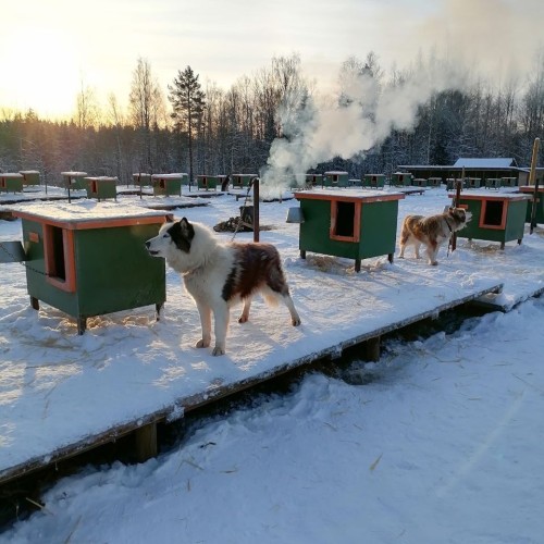 Выходные в Карелии с душой: из Санкт-Петербурга в Петрозаводск и весёлую деревню