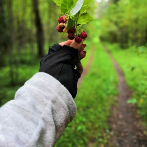 Река с картин: лёгкий сплав на байдарках по Тверце (всё включено)