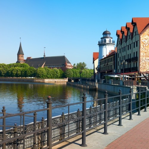 Море, котики, курорты: главное в Калининградской области