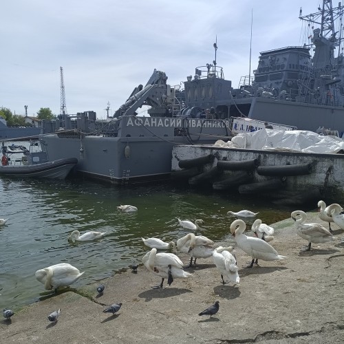 Балтийское побережье — в поисках сокровищ