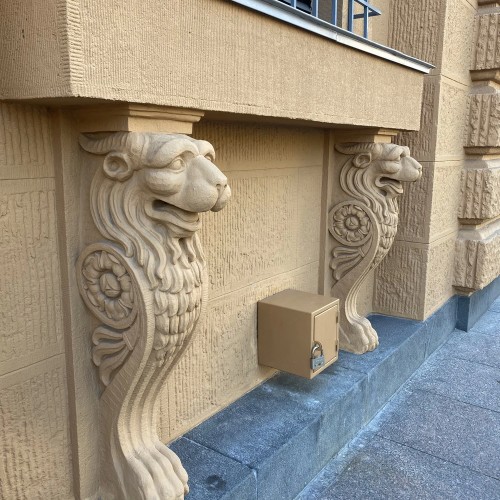 От кошек до слонов: семейное путешествие по Петербургу