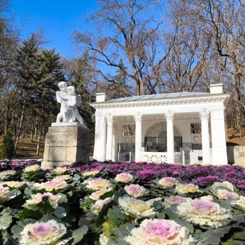 Индивидуальная перезагрузка на водах Кавказа: термы, сауны и прогулки по курортам