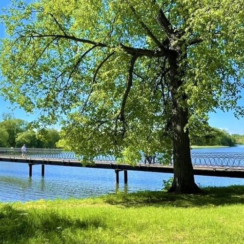 Со вкусом вина и ароматом лаванды: в Липецкую и Тульскую области из Москвы