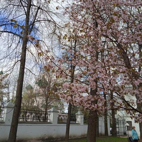 Ярославль сквозь века