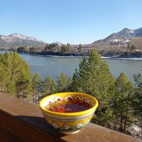 Путешествие в Чемал: открыть природу Горного Алтая