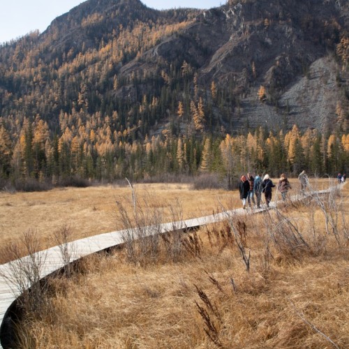 50 оттенков золота: путешествие по сентябрьскому Алтаю в мини-группе