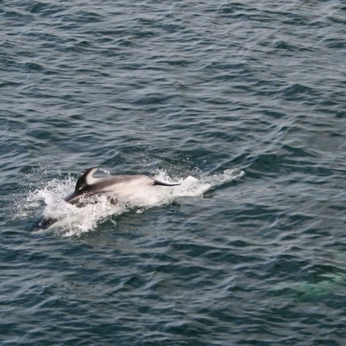 Кунашир до мурашек: путь на «другую» планету