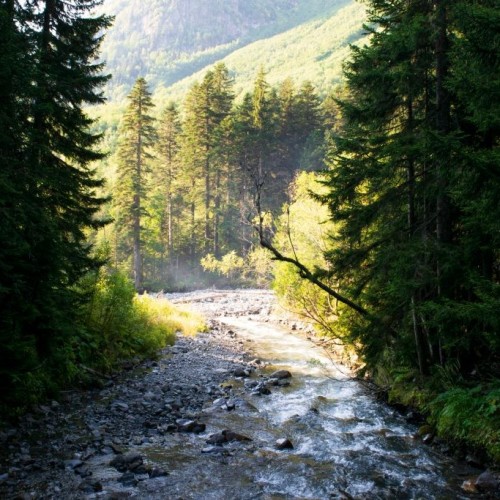 От Псебая до Красной Поляны: поход по горам с выходом к морю