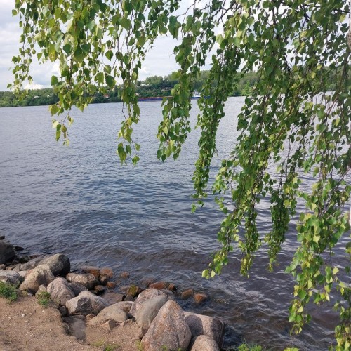 По древним городам Руси: Нерехта, Плёс, Кострома и Ярославль