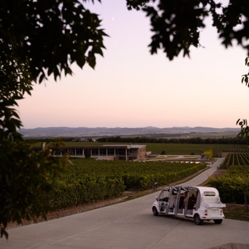 Французский шик в Краснодарском крае: по роскошным винодельням с дегустациями (индивидуально)