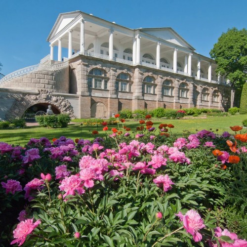 Царское село: Екатерининский дворец и янтарная комната (всё включено)