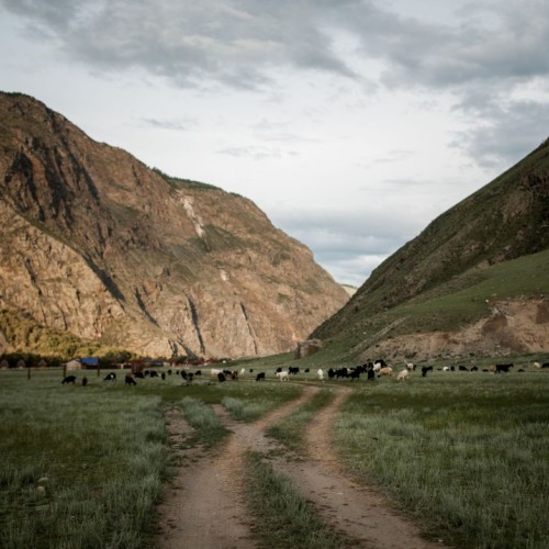 Комфорт-тур на Алтай с фотографом: полёт на вертолёте, парение и главные места (всё включено)