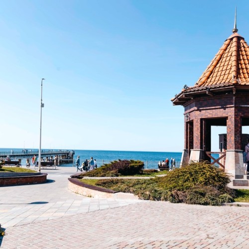 Море, котики, курорты: главное в Калининградской области