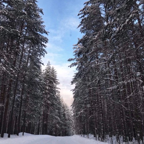 Прогулка на конях по неизведанной и заброшенной Карелии