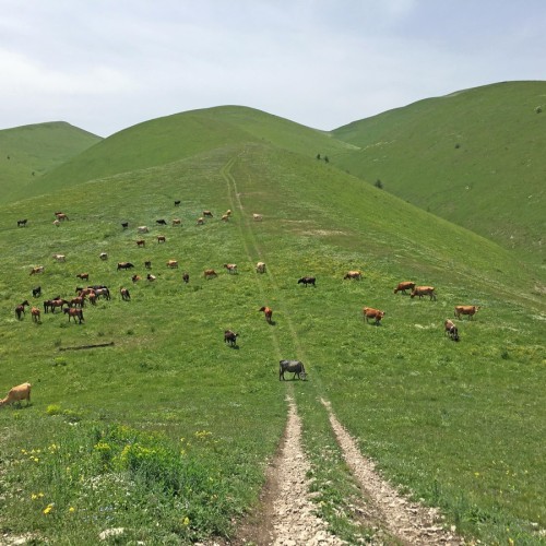 Главный Сулакский каньон. По следам Дюма