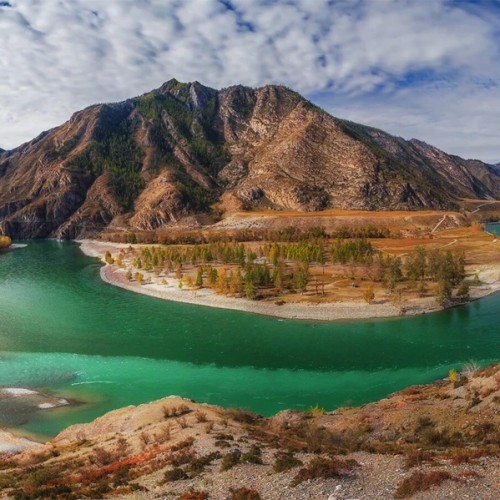 Алтайские места силы и древние петроглифы (в мини-группе)
