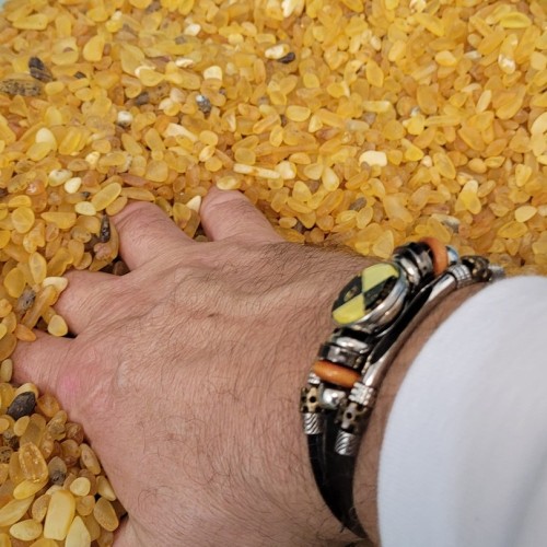 Индивидуальное путешествие по Калининграду и балтийским берегам