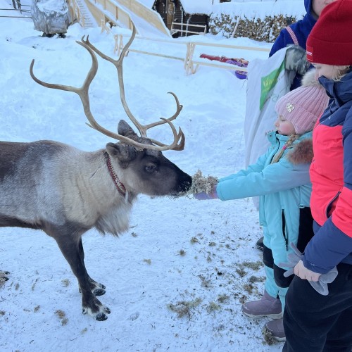 Индивидуальный джип-выезд по Кольскому с поисками китов, знакомством с саамами и катанием на оленях