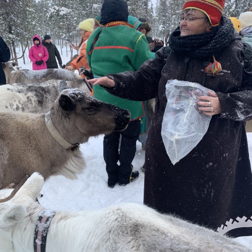 Разнообразие Севера: Териберка, Мурманск, Кировск и погружение в культуру