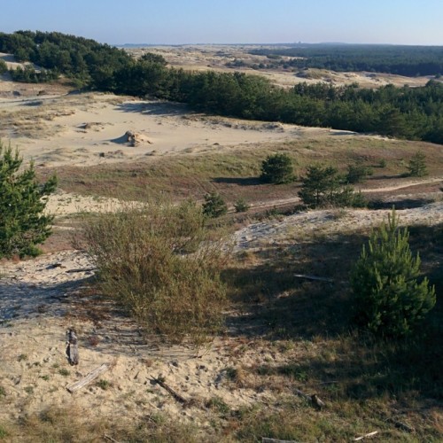 Творческая фотопоездка по Куршской косе