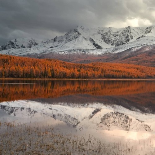 Перезагрузка на Алтае: топ локаций, заповедное озеро и моторафтинг по Катуни