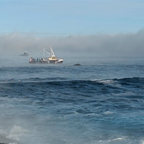 Териберка без Левиафана: пронзительная самобытность и лаконичные пейзажи