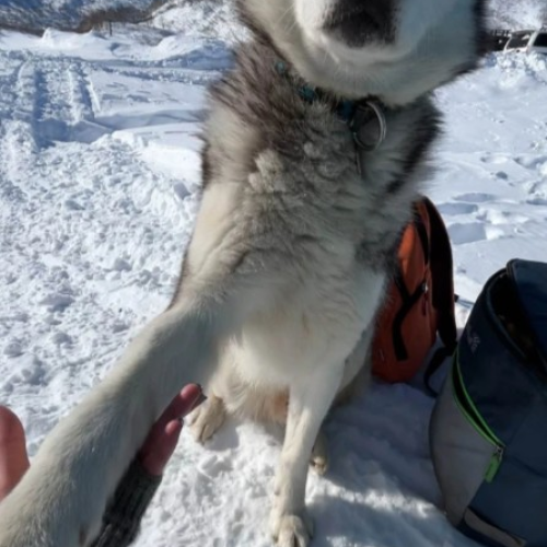 По Камчатке на джипе и снегоходах: индивидуальная поездка к вулканам, источникам и океану