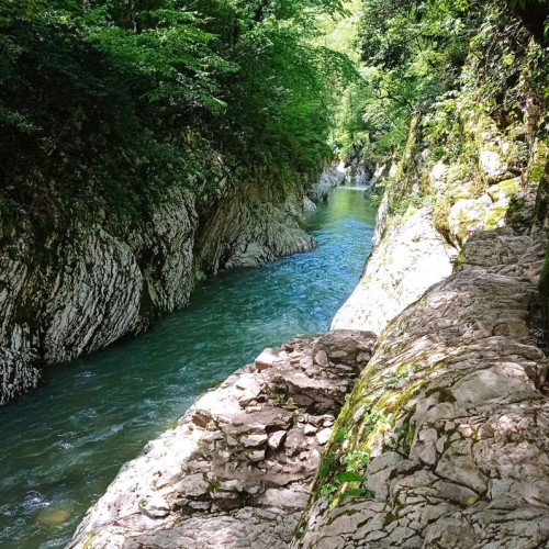 Лёгкий треккинг в субтропиках с проживанием в гостинице в Адлере