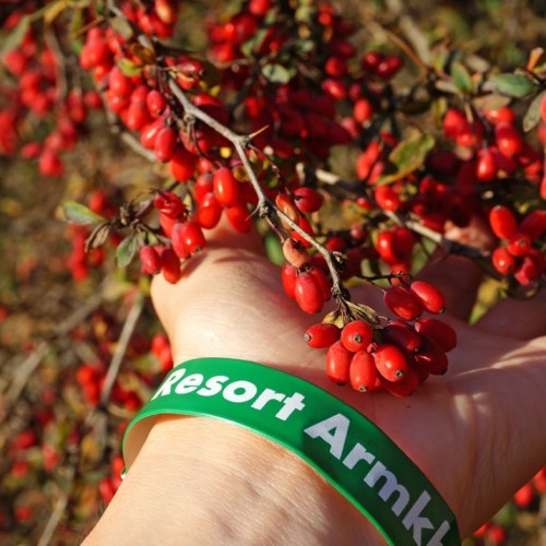 Треккинг налегке по Ингушетии: святилища, башенные комплексы и гора с герба Владикавказа