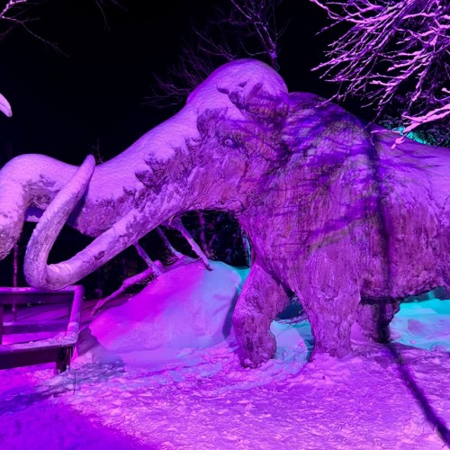 Индивидуальный джип-выезд по Кольскому с поисками китов, знакомством с саамами и катанием на оленях