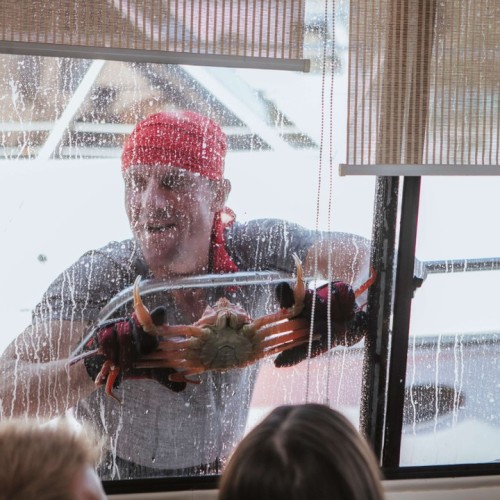 Большое путешествие по Камчатке: вулканы, глэмпинг в Мёртвом лесу и круиз в бухту Русская