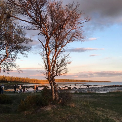 Выходные на Соловецких островах: тур для гостей из Санкт-Петербурга