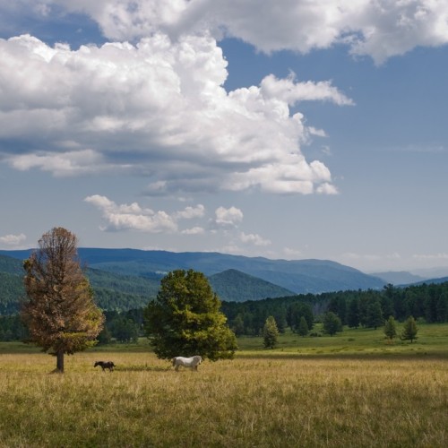 Насыщенная поездка в инопланетный край: сплав по Катуни, Телецкое озеро и долина Чулышман