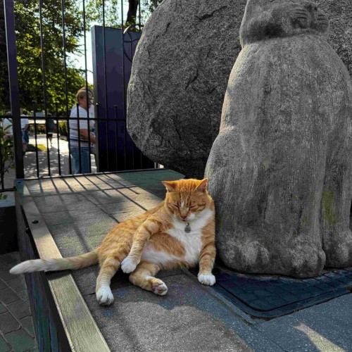 Индивидуальное путешествие с историком по Калининграду и области