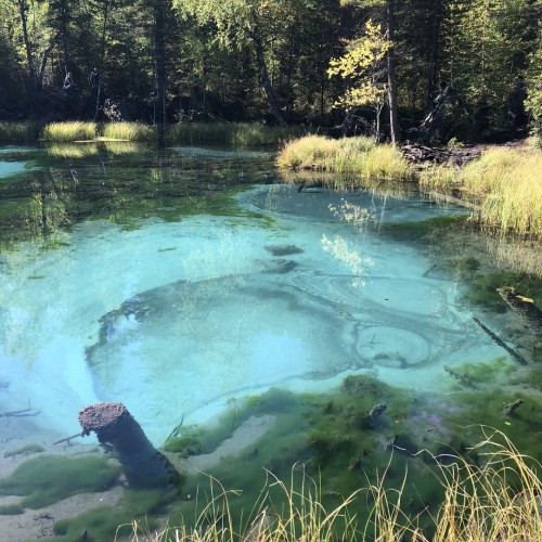 Путешествие по земле духов: природа и культура Алтая