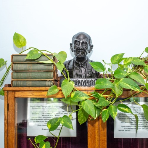 На цветение сирени в Ивановку: фестиваль, усадьбы и торжество романса