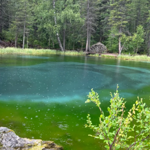 Волшебный Алтай: на джипах и пешком по предгорьям и склонам