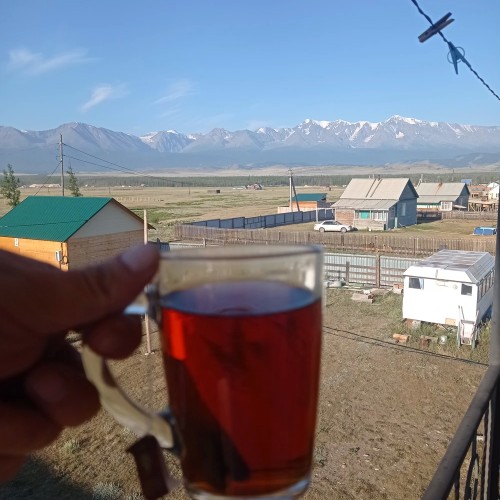 Приехать на Алтай, увидеть цветение маральника и оказаться на Марсе