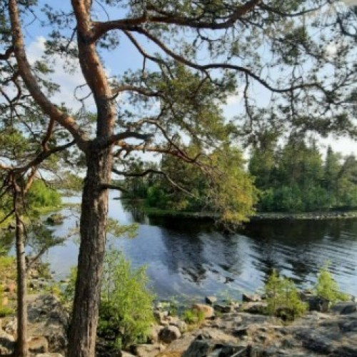 Заповедная Карелия на внедорожнике, лодке и сапе: проживание в домиках на Ладожском озере