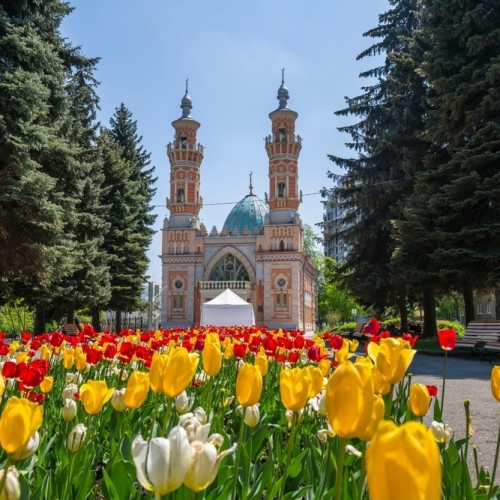 На поезде к жемчужинам Кавказа: города, горы, кухня, традиции 5 республик