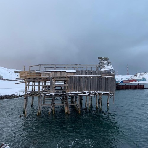 Териберка — вечное сияние чистого Севера (в группе)
