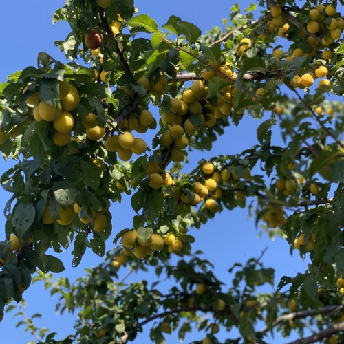 Ни в чём себе не отказывать в Дагестане: джип-путешествие по знаковым локациям