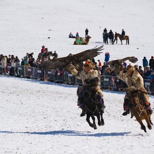 Из Алтая, по Чуйскому тракту — в Монголию на фестиваль беркутчи с проживанием в юрте